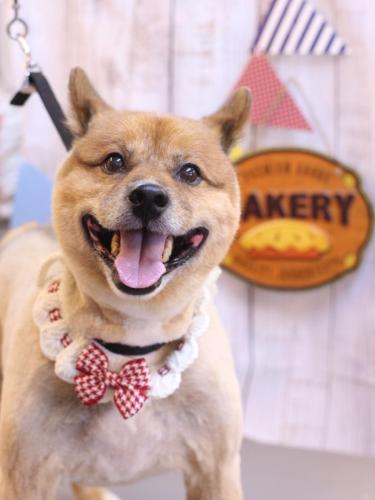 20240913やまとくん